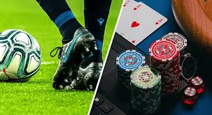 Exploring the Features and Benefits of bd222 bet Exploring the Features and Benefits of bd222 bet